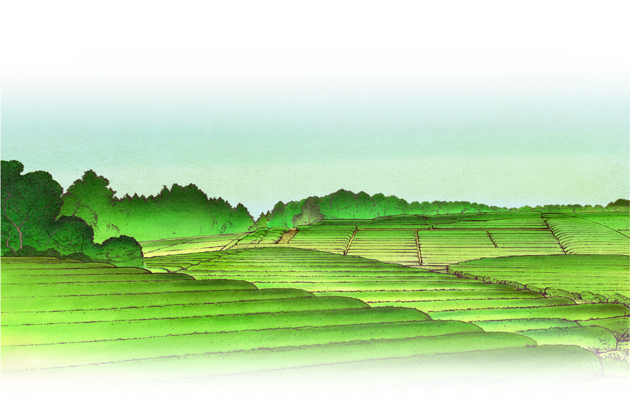 富士山と茶畑