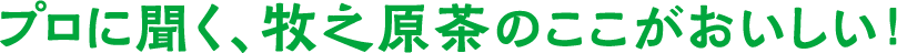 プロに聞く、牧之原茶のここがおいしい！