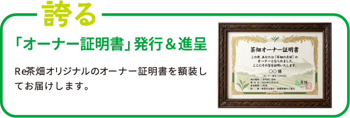 offer_item_4_sp